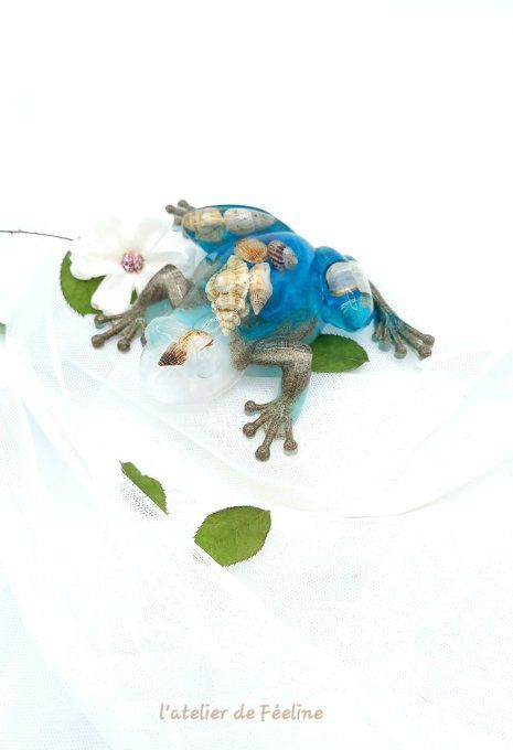 Grenouille Mer et Coquillage