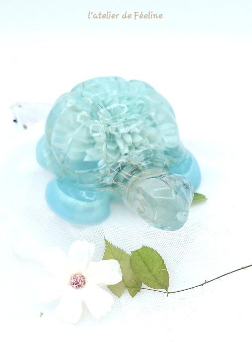 Tortue fleur bleu et lumières 