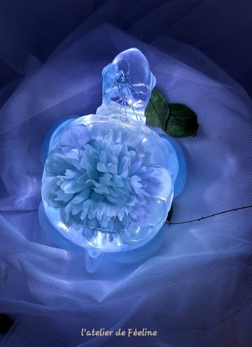 Tortue fleur bleu et lumières 