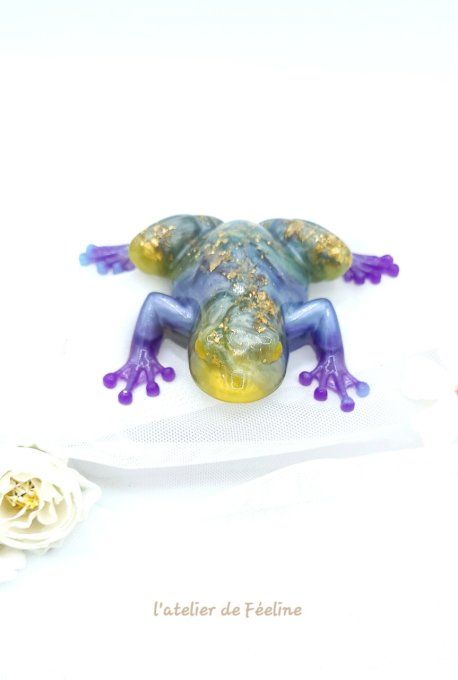 Grenouille violette 