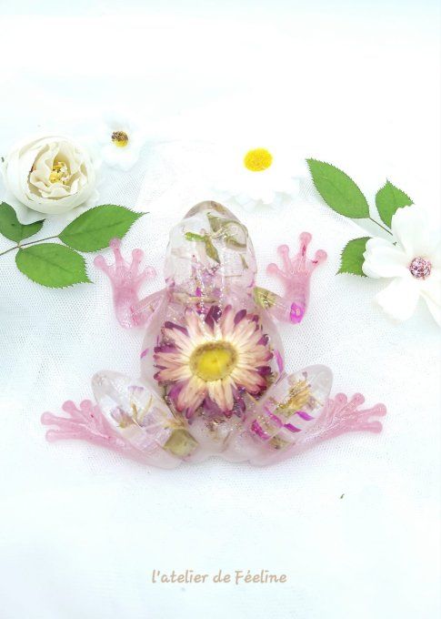 Grenouille rose et fleurs sechées